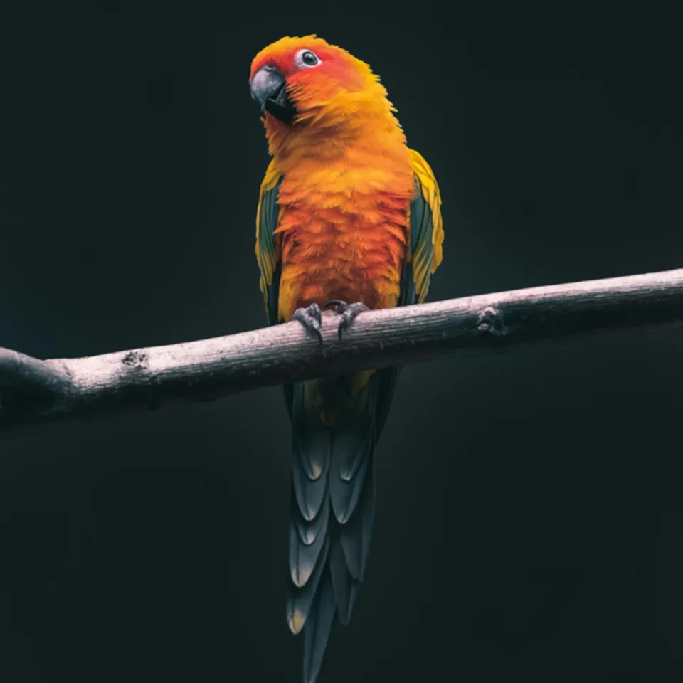 Artguru's smart png jpg image upscaler