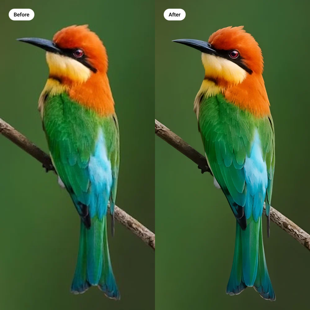Imagen antes y después del escalado con IA, con bordes y texturas más definidos