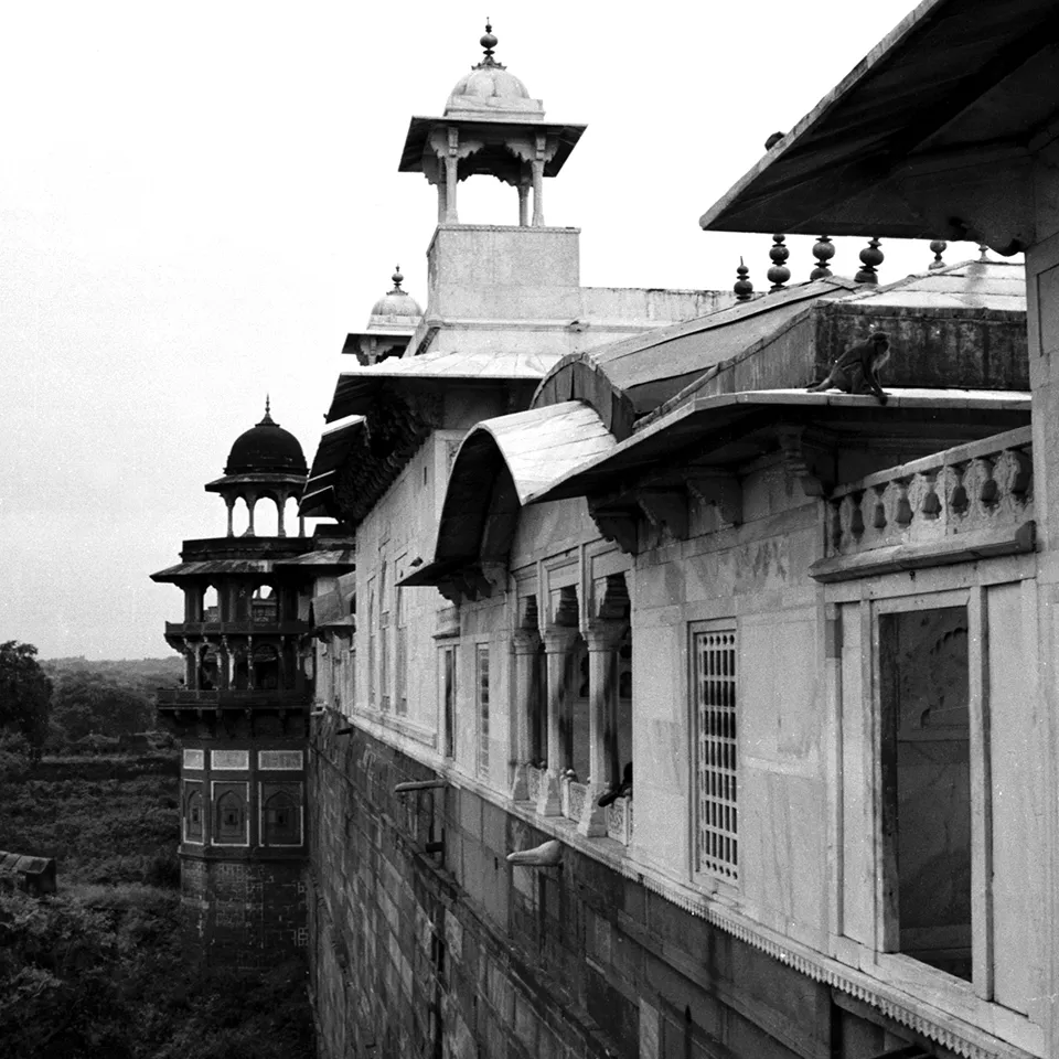 turn black and white photo into color
